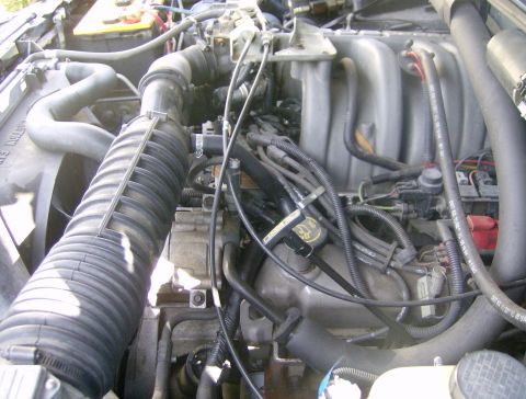 1994 Ford Bronco - Close-up view of the engine bay of a 1994 Ford Bronco, highlighting various engine components and wiring harnesses.