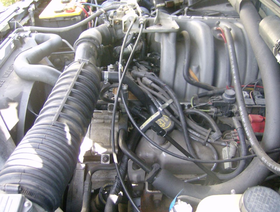 Engine bay of a 1994 Ford Bronco, showing intake manifold, fan, and wiring