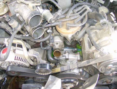 1994 Ford Bronco - Close-up view of an engine bay, showing various mechanical components and hoses.