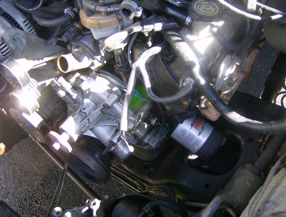 Engine compartment showing an oil filter and various hoses and engine parts