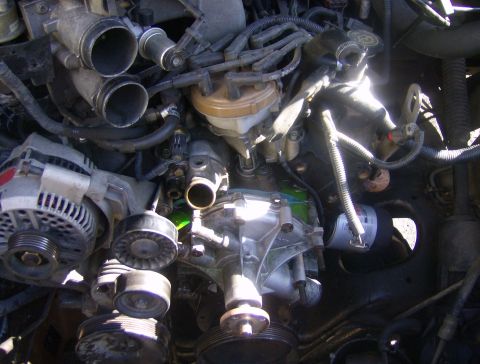 1994 Ford Bronco - Close-up view of engine components including the alternator and various pulleys.