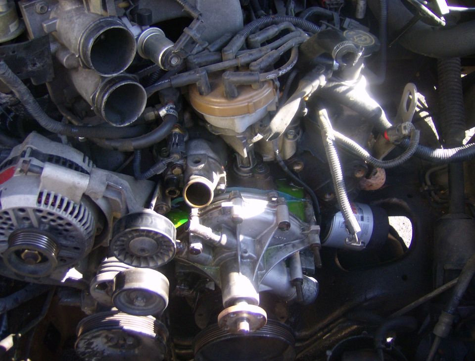 engine bay showing alternator, pulleys, and hoses