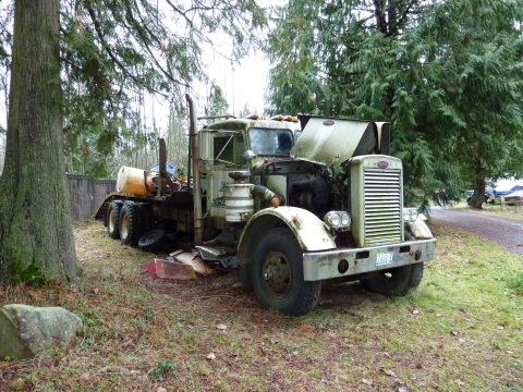 1981 Kenworth W900A - A weathered green truck sits abandoned with its hood open, surrounded by trees and grass.