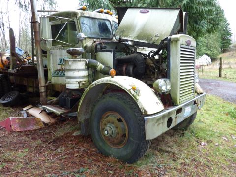 1981 Kenworth W900A - This weathered Peterbilt truck sits in a grassy area, its hood raised to reveal the engine compartment.