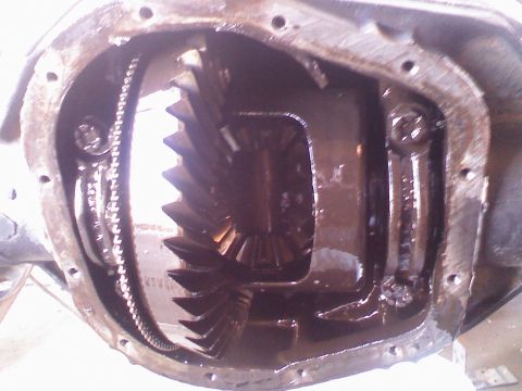1996 Ford Bronco - Close-up view of an open differential housing, showing gears and a chain lubricated with dark oil.