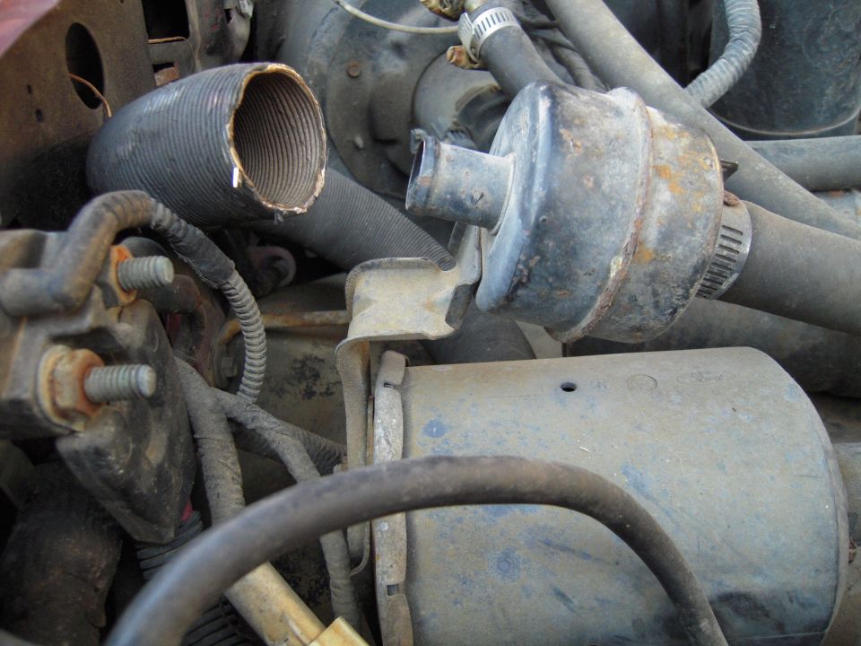 Close-up of engine bay hoses, a filter-like component, and wiring