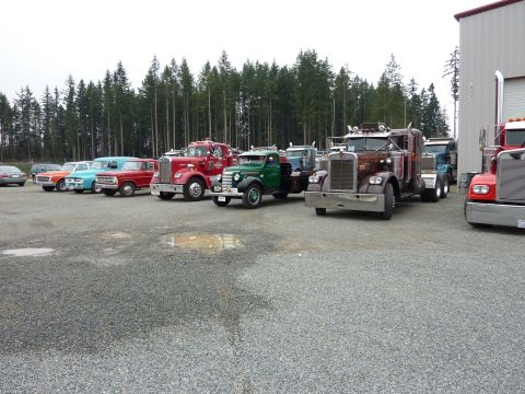 1981 Kenworth W900A - A variety of classic trucks are parked in a gravel lot with trees in the background.