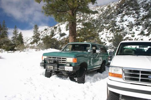 1991 Ford Bronco - Two Ford trucks parked in a snowy mountain landscape under a partly cloudy sky.