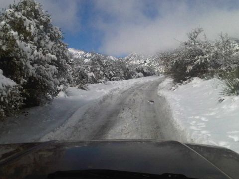 1986 Ford Bronco - A snowy mountain road with trees covered in snow under a partly cloudy sky.