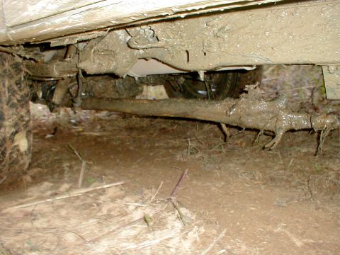 1983 Ford Bronco - I didn't really notice ripping this tree out of the ground, but it was a pain to remove from the axle.