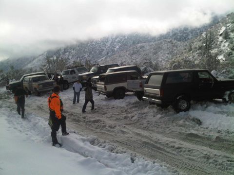 1986 Ford Bronco - Multiple vehicles, including Ford Broncos, are stuck in the snow on a mountain road.