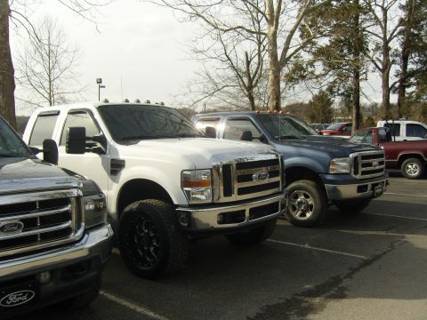 2007 Ford Mustang - Several Ford F-Series trucks are parked in a lot, with a white truck prominently featured in the foreground.