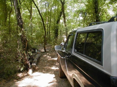 1983 Ford Bronco - A few minutes ago, the log on the L was blocking the trail. I used the winch to break it and move it out of the way.