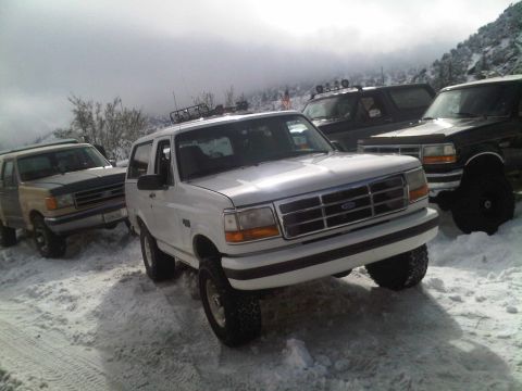 1986 Ford Bronco - A white 1992 Ford Bronco is parked in the snow alongside other vehicles.