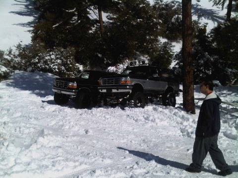 1986 Ford Bronco - Two modified Ford pickup trucks are parked in a snowy landscape, with trees in the background.