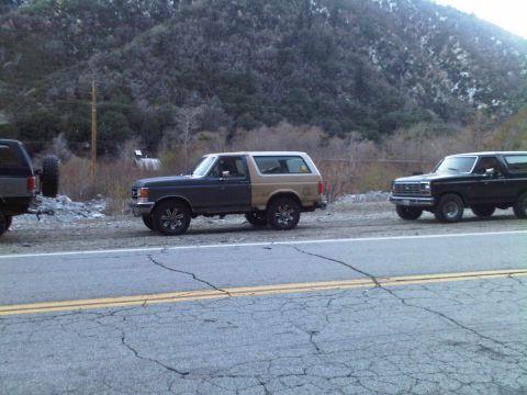 1986 Ford Bronco - Multiple Ford Broncos are parked along a rural road with a mountainous backdrop.