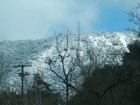 1982 Ford Bronco - A winter scene in Lytle Creek features a snow-covered mountain and silhouetted trees against a cloudy sky.
