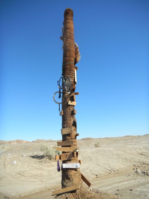 1997 Ford Ranger - A palm tree in a desert setting is adorned with bicycles, shoes, and various signs.