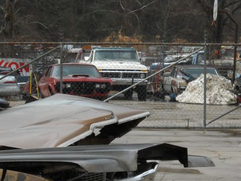 1982 Ford Bronco - A white Ford F-Series truck is parked in a lot with other vehicles, including a red car and a brown car in the foreground.