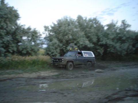 1981 Ford Bronco - Mike again