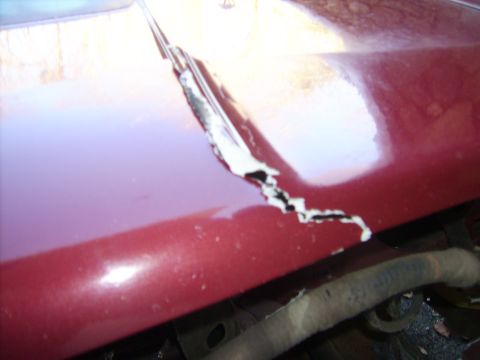 1988 Ford Crown Victoria LTD - The cracked paint and rust on this red car hood suggest significant damage, but the model year is not discernible.