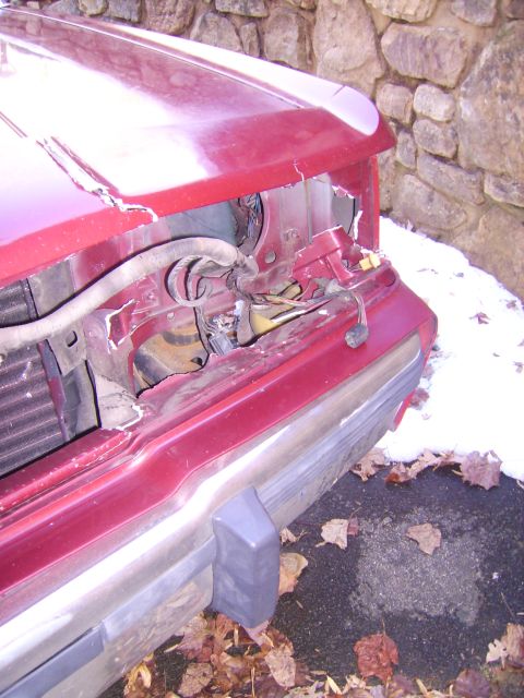 1988 Ford Crown Victoria LTD - Deer Fur