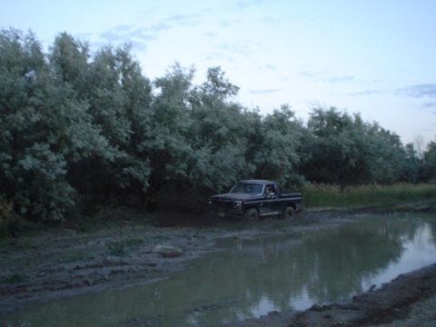 1981 Ford Bronco - My truck with no front driveshaft