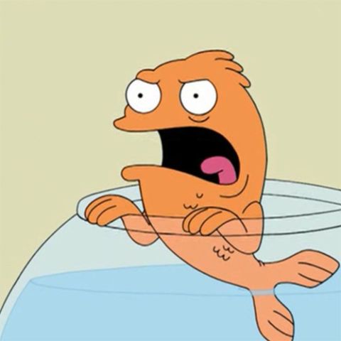 Cartoon fish with wide eyes and open mouth in a fishbowl
