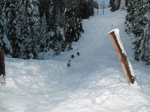 1991 Ford Bronco - A snowy ski slope with skiers descending, surrounded by snow-covered trees.