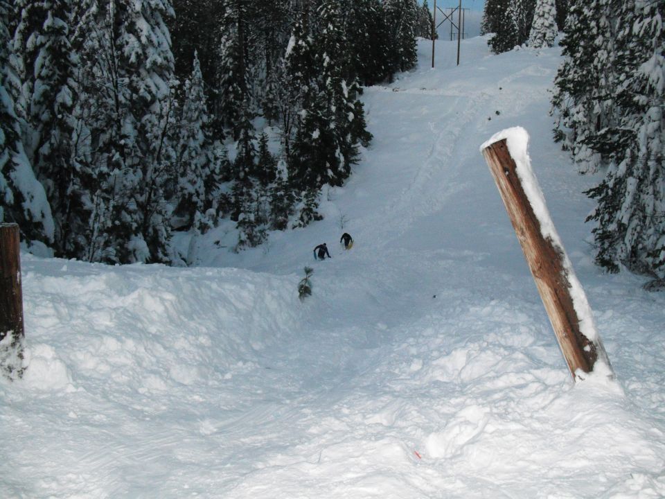 Snowy ski slope with trees and a wooden post in the foreground