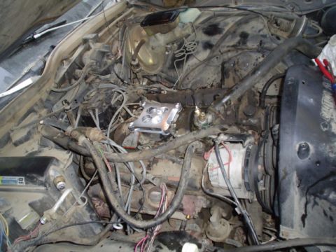 1981 Ford Bronco - ripped off all the junk and putting on a 600 CFM Edelbrock and a new temp gauge and belts too
