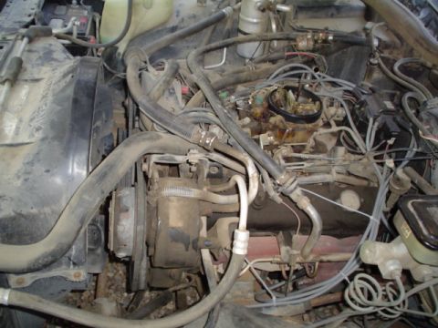 1981 Ford Bronco - pic before the ripping off of the extra weight and extra vacumm leaks.