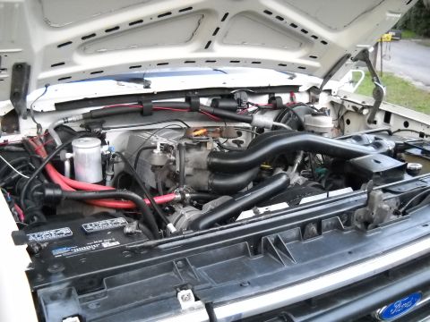 1989 Ford Bronco - stock engine 302