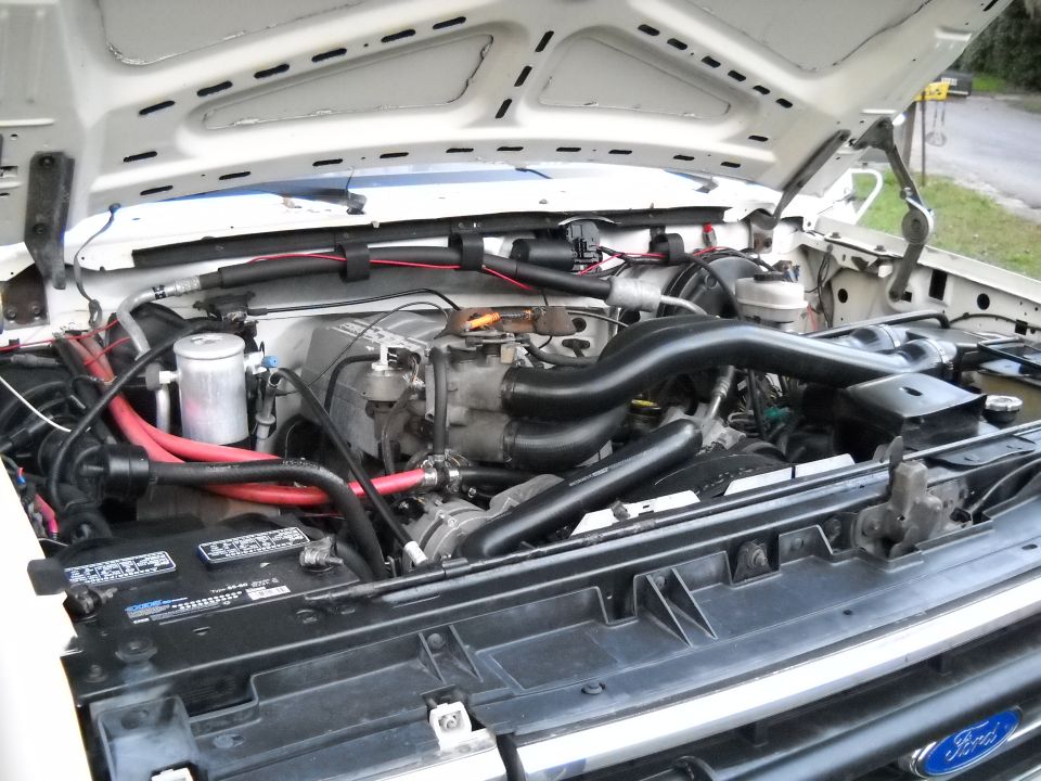 Engine bay of white Ford Bronco with hood up, red plug wires, black intake hoses, Ford oval on grille