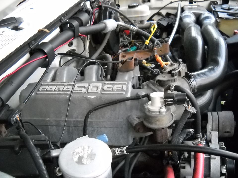 Ford 5.0 EFI V8 engine bay with cast valve cover and intake manifold