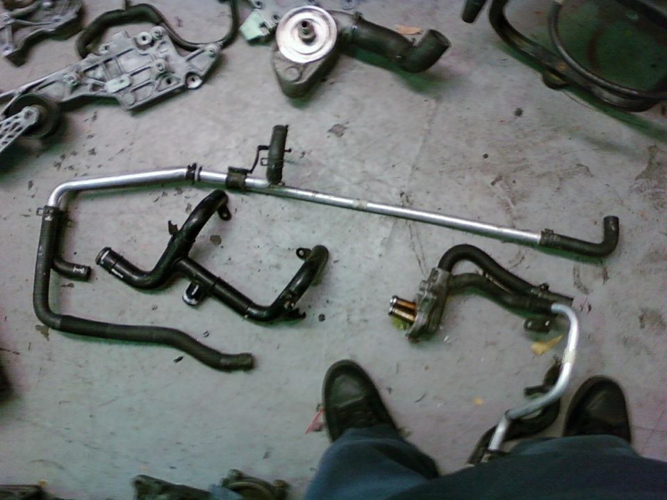 Engine coolant lines and water pump assembly