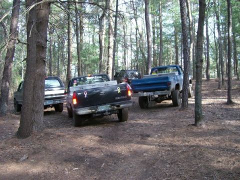 1994 Ford Bronco - Multiple pickup trucks are parked on a dirt path surrounded by trees in a forest setting.
