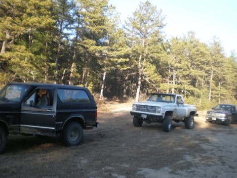 1994 Ford Bronco - Three trucks are parked in a dirt lot surrounded by pine trees.