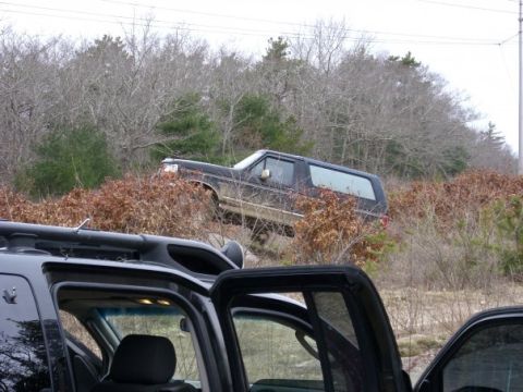 1994 Ford Bronco - A 1994 Ford Bronco is seen on a grassy incline, partially obscured by brush.
