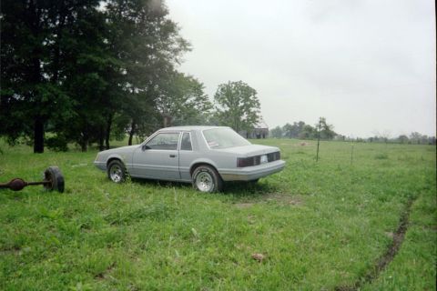 1979 Ford Mustang “beer budget pony”