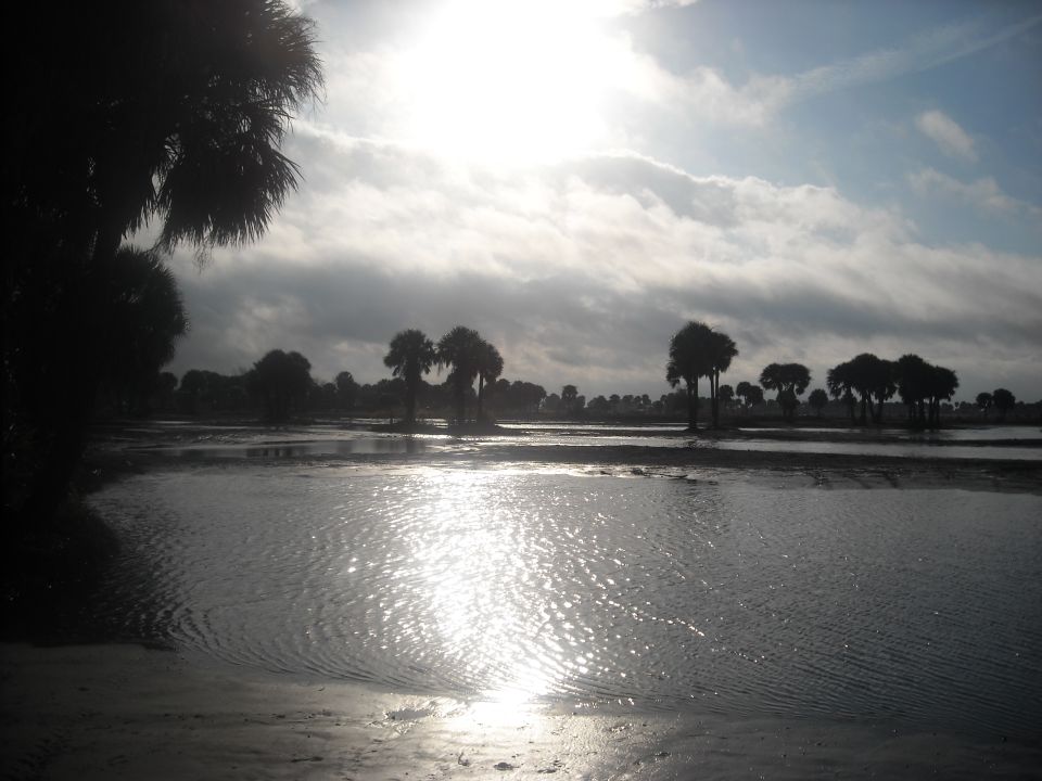 Water reflects sunlight under a cloudy sky with palm trees in the background