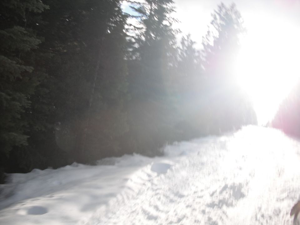 Snowy road through a forest with bright sun glare