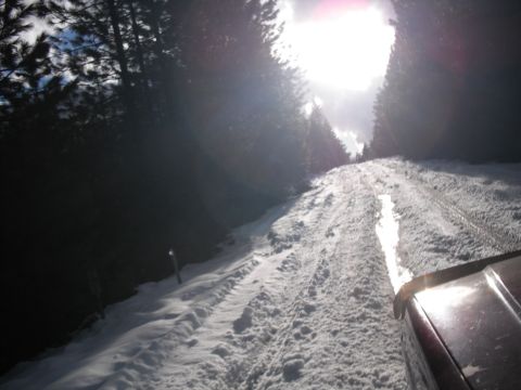1991 Ford Bronco - A dark red SUV drives on a snow-covered road through a forest with the sun shining brightly.