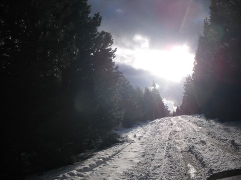 1991 Ford Bronco - A vehicle travels on a snow-covered road surrounded by trees, with the sun breaking through the clouds.