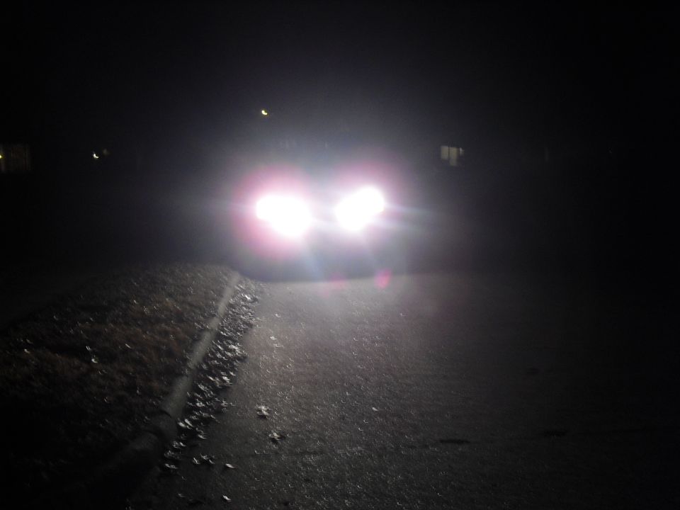 Car headlights illuminate a dark road with leaves on the shoulder