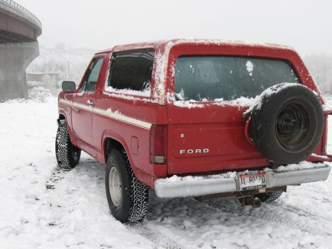 1981 Ford Bronco - A red 1981 Ford Bronco is seen from the rear in a snowy environment, a spare tire on the tailgate.