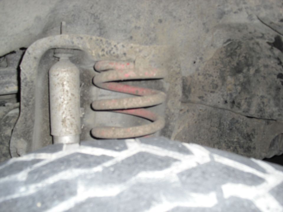 Front suspension coil spring and shock absorber
