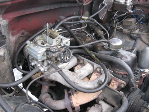 1981 Ford Bronco - Close-up engine bay view showing an aftermarket Holley carburetor mounted on an Edelbrock aluminum intake manifold, with spark plug wires,…