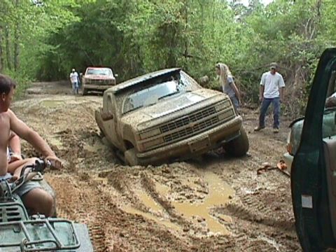 1984 Ford Bronco - Several vehicles are stuck in the mud on a wooded trail, with people attempting to assess the situation.