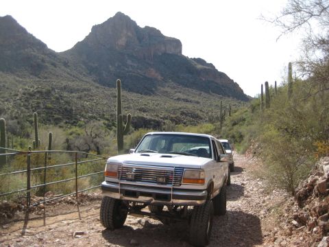 1996 Ford Bronco - Two white SUVs travel down a dusty desert road, surrounded by saguaro cacti and mountains.